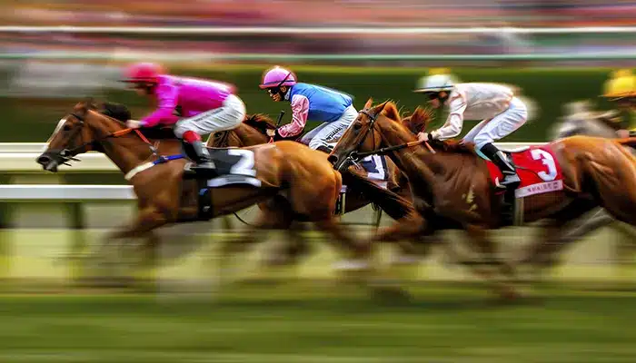 Coach Hire Company for sports events