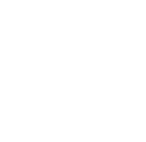 Brit Coaches Logo