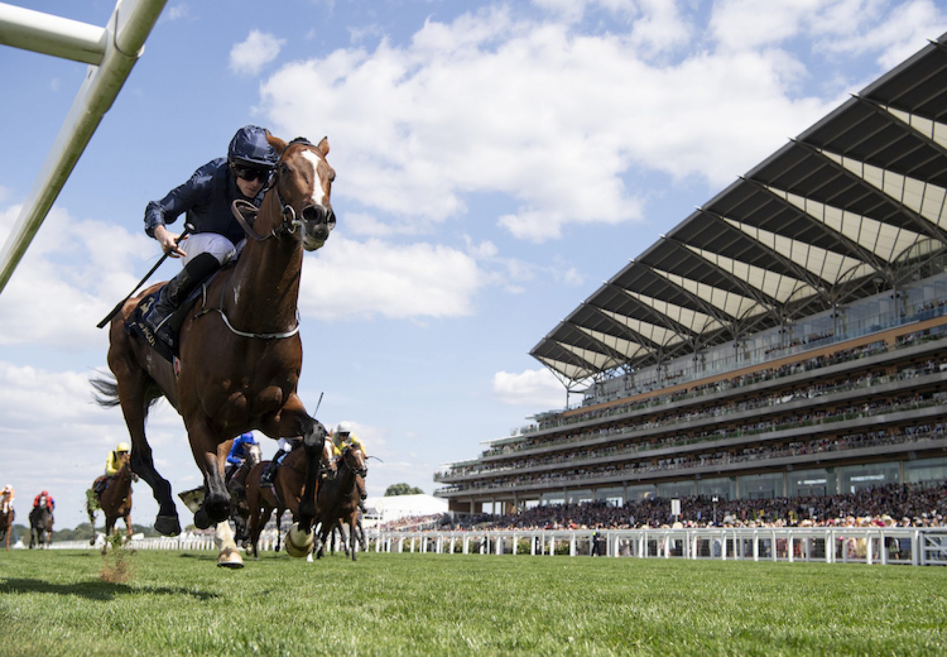 Ascot Races